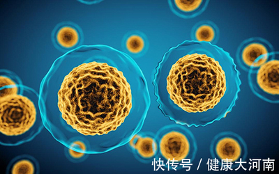 補腎抗衰新前沿？干細胞療法——機遇與風(fēng)險并存的人體實驗