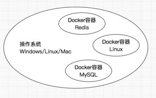 融合創(chuàng)新 Docker容器化游戲開發(fā)環(huán)境與人體干細胞技術(shù)的交叉應(yīng)用展望