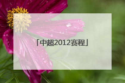「中超2012赛程」山东鲁能中超赛程